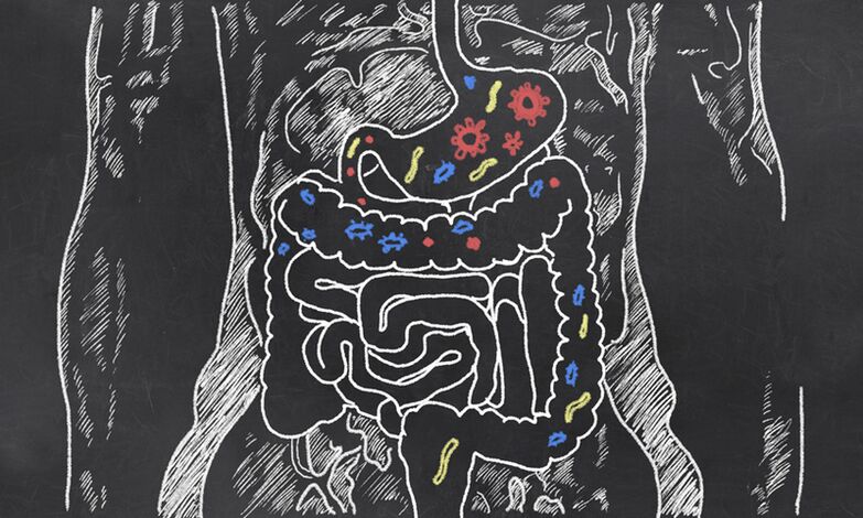 Paraziták egy személy gastrointestinalis traktusában