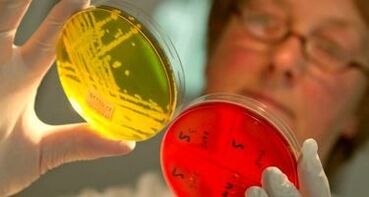 paraziták diagnosztizálása a szervezetben